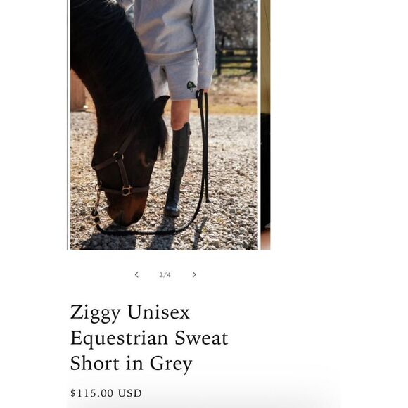 Recreational Habits Ziggy Unisex Sweat Shorts Grey XS - Picture 3 of 8